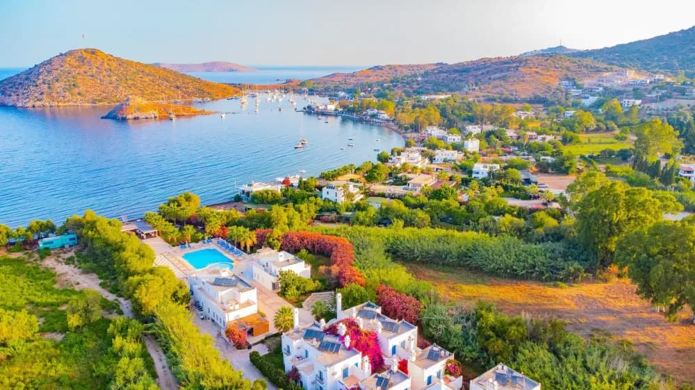 Tüm Fotoğraflar